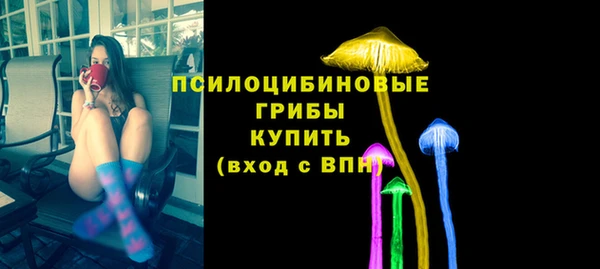 ешки Абаза