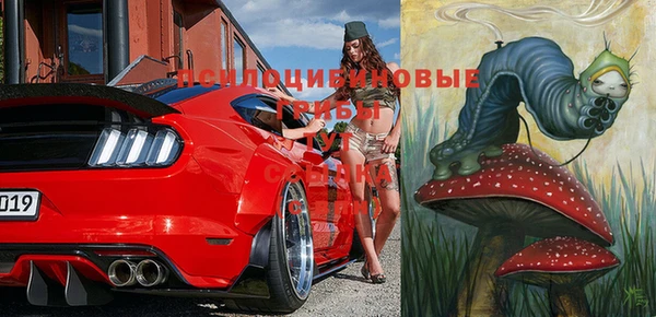ешки Абаза