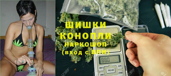 PSILOCYBIN Алексин