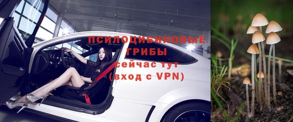 PSILOCYBIN Алексин