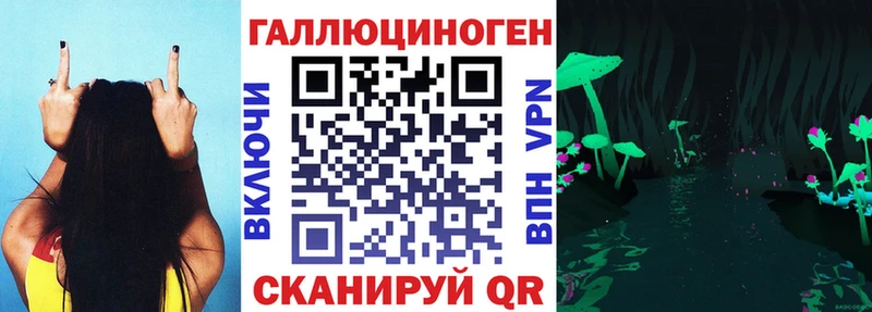 магазин продажи   Ясный  Галлюциногенные грибы GOLDEN TEACHER 